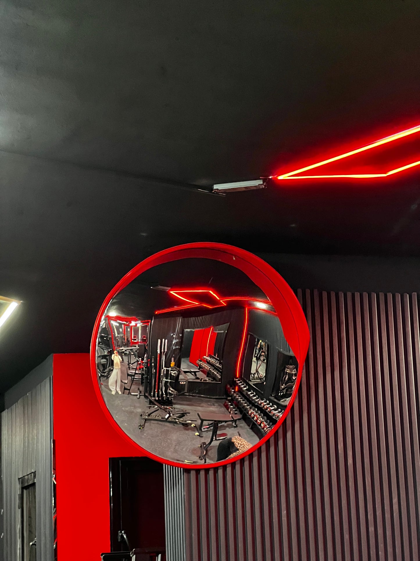 Garage Mirror