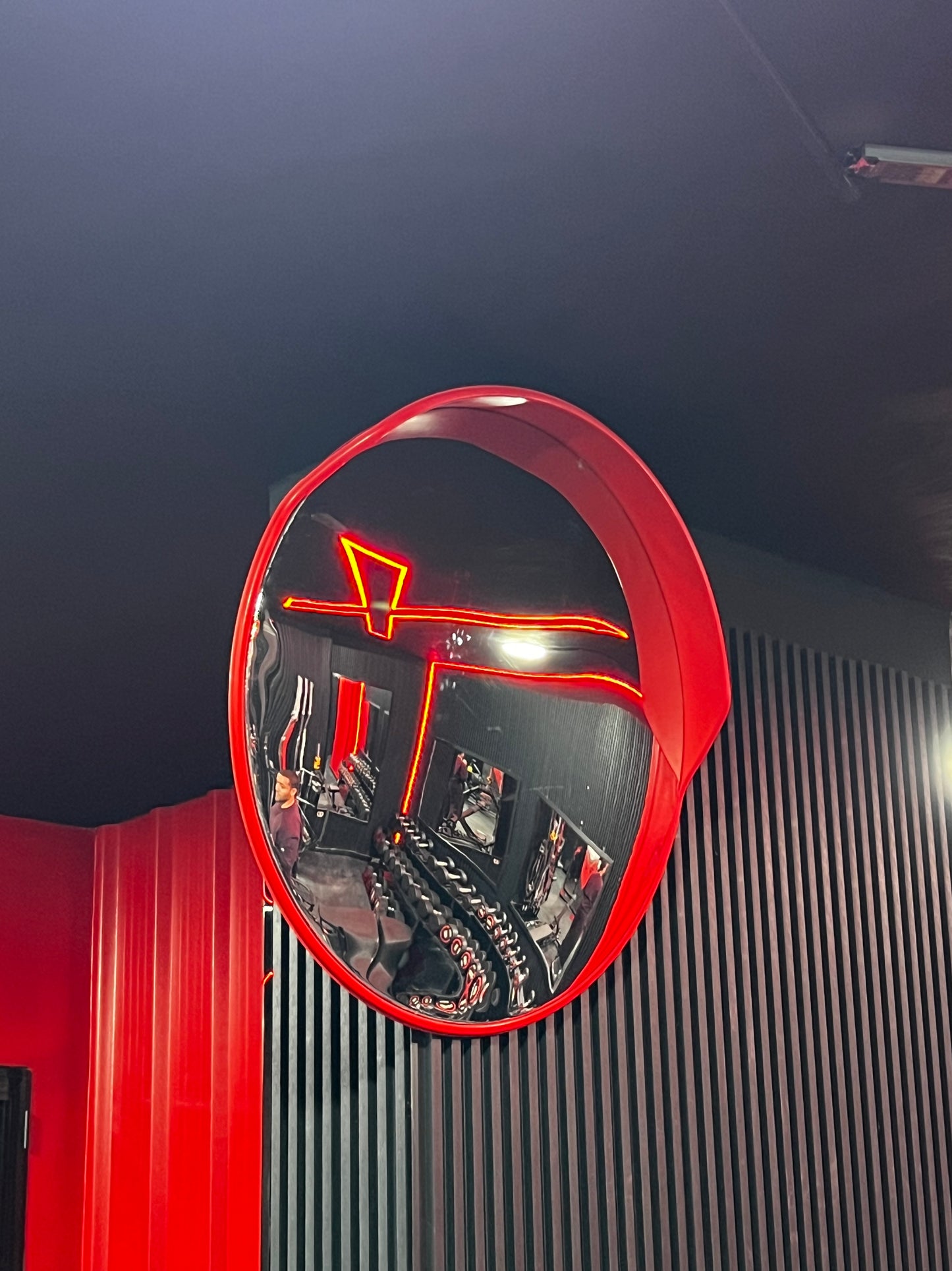 Garage Mirror